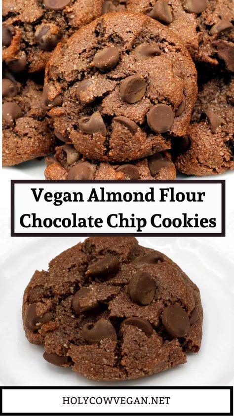 These yummy vegan chocolate chip almond flour cookies are soft and chewy with melting little pools of chocolate. They're naturally sweetened with date syrup and the dough comes together in five minutes in a single bowl, making them a pretty sweet deal! Vegan Almond Flour Cookies, Grain Free Chocolate Chip Cookies, Vegan Chocolate Chip Cookie Recipe, Kids Desserts, Date Syrup, Healthy Chocolate Chip Cookies, Vegan Cookie, Almond Flour Cookies, Baking With Almond Flour