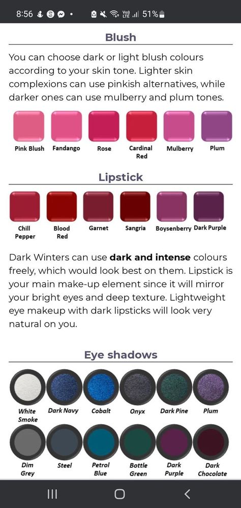 Eyeshadow For Deep Winter, Twilight Winter Color Palette, Lipsticks For Deep Winter, Deep Winter Eye Makeup, Deep Winter Eyeshadow, Dark Winter Color Palette Makeup, Deep Winter Makeup Palette, Deep Winter Blush, Deep Winter Lipstick Colors