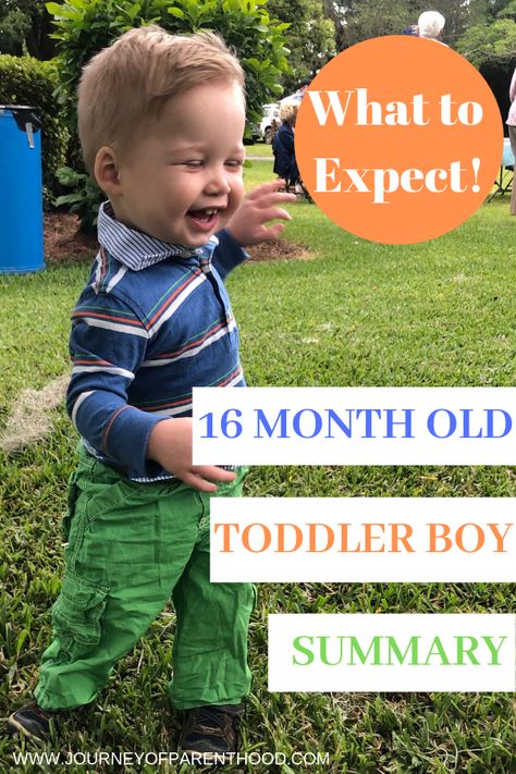 16 Month Old Toddler Boy Monthly Recap and Summary. What to expect with milestones, development and including a Sample Schedule for the 17th Month of Life! #toddlerschedule #toddlerdevelopment 16 Month Old Development Milestones, 16 Month Milestones, 16 Month Old Development, 16 Month Old Activities, Raising A Son, Braids Diy, Monthly Recap, No Hood Like Motherhood, Baby Development Activities