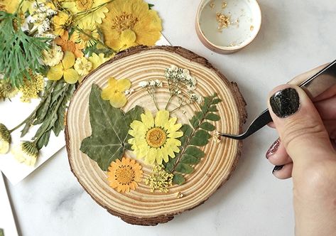 Pressed Flower Coasters, Wood Rounds Crafts Tree Slices, Epoxy Resin Crafts Wood, Resin Wood Board, Resin Flower Coasters, Mod Podge On Wood, Flower Art Ideas, Wood Coasters Diy, Candles With Flowers