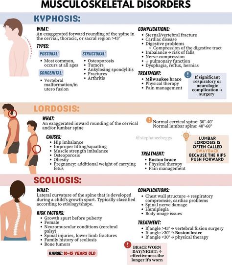 Oren Gottfried, MD (@OGdukeneurosurg) on X Muscular System Notes, Muscular System Activities, Cardiac Disease, Musculoskeletal System, Muscular System, Spine Health, Rad Tech, Radiology, Massage Therapist