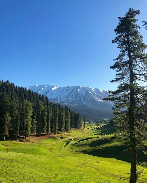 Gulmarg Valley, Kashmir #India Best Places In Switzerland, Gulmarg Kashmir, Bhutan Travel, Model Quotes, Places In Switzerland, Valley Of Flowers, Amazing India, Home Model, Kashmir India