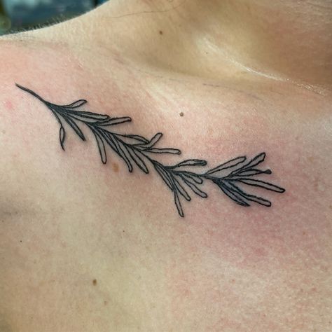 #tattoo #minimalist #minimal Rosemary Branch Tattoo, Small Olive Branch Tattoo, Rosemary Drawing, Rosemary Tattoo, Stem Tattoo, Olive Branch Tattoo, Branch Tattoo, Tattoo Minimalist, Tasteful Tattoos