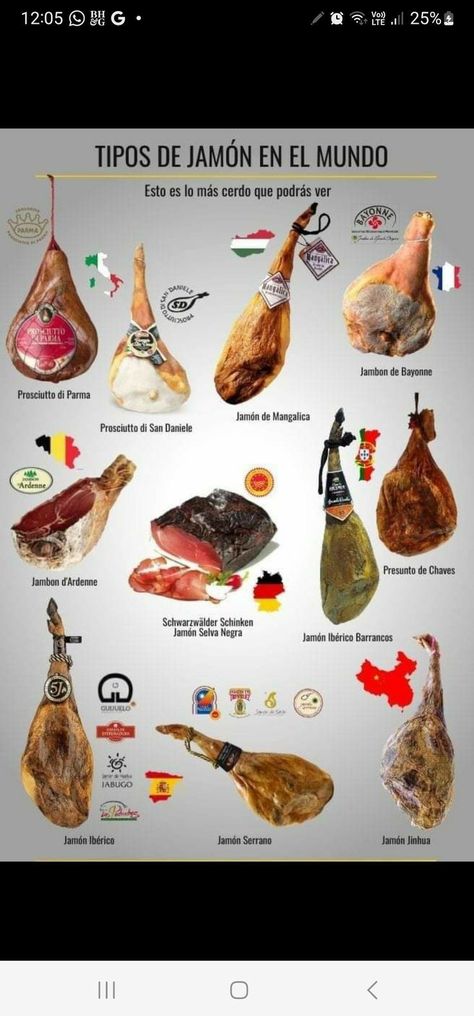 Beef Cuts Chart, Culinary Cooking, Professional Cooking, Tasty Meat, Food Infographic, Gourmet Cheese, Charcuterie And Cheese Board, Beef Cuts, Beer Recipes