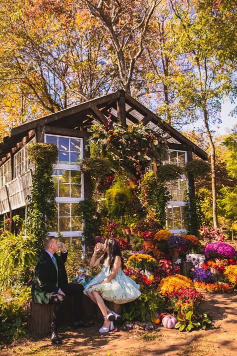 Vaughn House Greenhouse, Vaughan House, Greenhouse Venue, House Greenhouse, Small Wedding Venues, Dream Wedding Locations, Intimate Wedding Venue, Smallest Wedding Venue, Intimate Wedding Venues