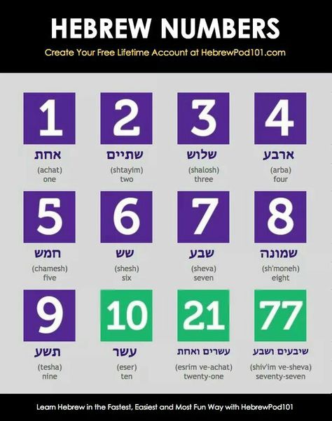 Hebrew Numbers Learn Swedish, Bahasa Jepun, Swedish Language, English To Hebrew, Hebrew Lessons, British Sign Language, Hebrew Language, Learn Hebrew, Japanese Language Learning