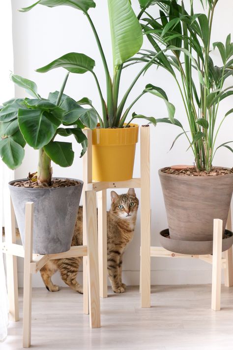 DIY : Fabriquer un support porte plante en bois - M comme Mademoiselle #homemade  #decoration #tuto #plant #greentouch #supportwoodenplantholder#wood #diy #natural #urbanjungle Homemade Decoration, Construction Diy, Support Plante, Wood Plant Stand, Cache Pot, Plant Supports, Diy Plants, Plant Holders, Woodworking Crafts