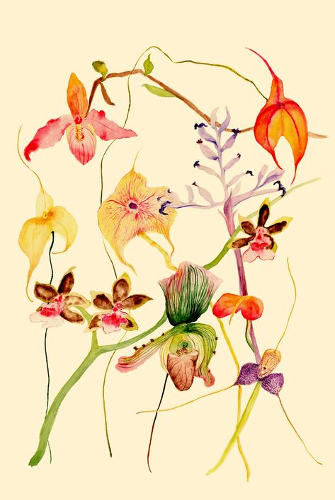 Orchids on Artfully Walls Orchids Painting, Creek House, Artfully Walls, Exotic Orchids, Artist Wall, Mill Creek, Photo Canvas, Botanical Illustration, Botanical Art