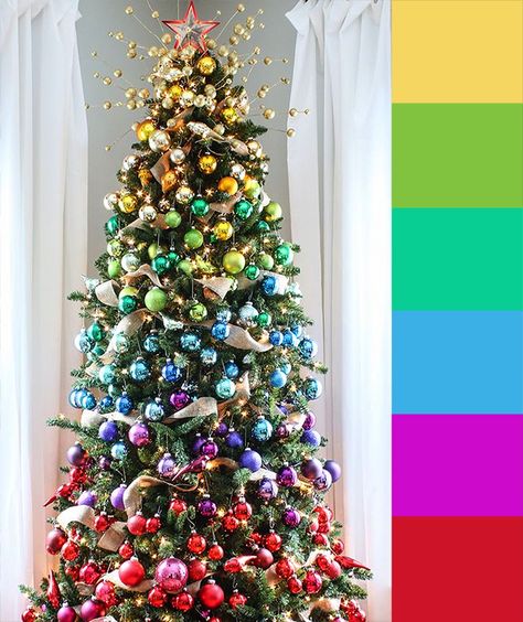 4 Christmas Tree Color Palette Ideas Color Schemes Green, Christmas Tree Inspiration Traditional, Tree Color Palette, Christmas Tree Color Schemes, Ombre Christmas Tree, Christmas Tree Colour Scheme, Rainbow Christmas Tree, Color Palette Ideas, Rainbow Tree