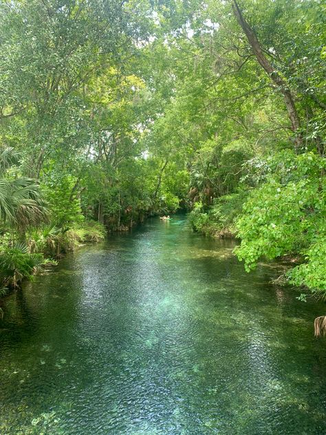 Water Springs Aesthetic, Florida Springs Aesthetic, Evangeline Core, Green Aesthetic Background, Camp Half Blood Cabins, Florida Springs, Silver Springs, Silly Goose, Wallpaper For Phone