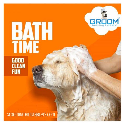 Bath time was never fun until GROOM Bathing Tablets arrived. Enjoy our grooming services at GROOMBathingTablets.com. . . #dogcare #petlove #dogs #cutedogs #cutepets #petcare #petgrooming #doggrooming #pet #doggos #cutedoggos #lovedogs #ilovedogs #doglover #dogworld #dogsarelove #DogBathingTablets #BathTime #DogSpa #ToxicIngredients #CrueltyFree #AvoidChemicals #CleanDog #InstaPet Pets Products, Dog Spa, Best Cleaning Products, Dogs Of The World, Dog Care, Pet Grooming, Bath Time, Dog Grooming, I Love Dogs