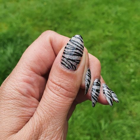 Grey Zebra Nails, Glitter Zebra Nails, Zebra Print Nails, Zebra Nails, Bio Sculpture, Print Nails, Zebra Print, Glitter Nails, Nail Design