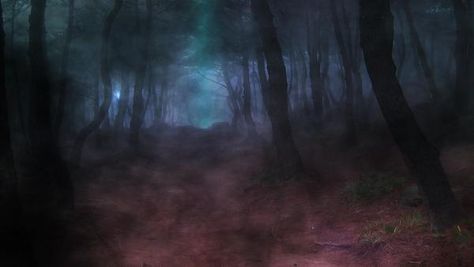 Forest Path Wallpaper, Goth App Icons, Ethereal Plane, Path Wallpaper, Dark Wood Wallpaper, Nice Wallpapers, Wood Forest, Cat Dark, The Dark Knight Trilogy