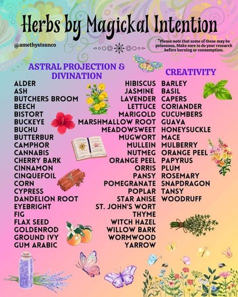 Herbs For Creativity, Herbs For Abundance, Herbs And Flowers Witchcraft, Witch Herb Essentials, Motivation Herbs Witchcraft, Herbs And Their Magical Properties, Magical Correspondences Herbs, Dream Herbs, Medical Herbs