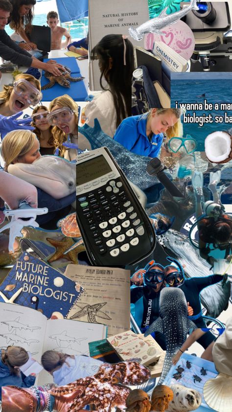 Biology Collage, Teacher Vision Board, Oceanography Marine Biology, Yellow Mermaid, Biology Major, Collage Moodboard, Math 8, Environmental Scientist, My Future Job