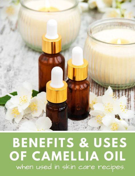 Usage & Benefits of Camellia Oil (Tea Seed Oil) in Skin Care for Natural Beauty. 6 Great Summer Beauty Tips Plus 12 Summer Skin Care Recipes for Dry Skin with Camellia Seed Oil. Summer Skin Care, Summer Beauty Tips, Camellia Oil, Oil Skin Care, Summer Skincare, Summer Skin, Skin Care Recipes, Free Life, I Love Makeup