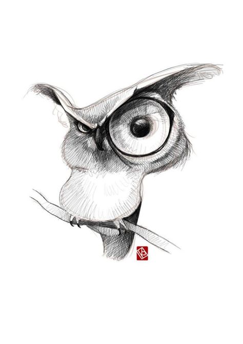 ArtStation - Sketchy cartoony animals, KHASIS LIEB Beautiful Pencil Drawings, رسم كاريكاتير, Owls Drawing, Animal Sketches, Owl Art, Bird Drawings, Cool Art Drawings, A Drawing, Art Drawings Sketches