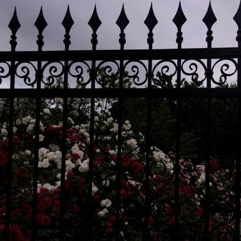 Dark Flower Garden Aesthetic, Vampire Garden Aesthetic, Flower Goth Aesthetic, Garden Of Roses Aesthetic, Garden Roses Aesthetic, Osiria Rose Aesthetic, Goth Flowers Aesthetic, Dark Rose Garden Aesthetic, Dark Flower Asthetics Photos