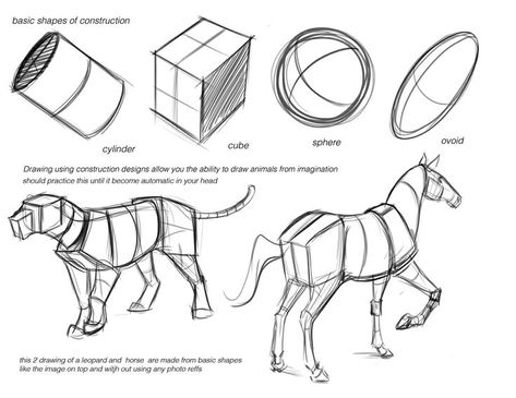 basic shapes for drawing animals - master the basics Drawing Instructions, Easy Animal Drawings, Horse Anatomy, Anatomy Tutorial, Human Figure Drawing, Animal Anatomy, Animal Study, Anatomy For Artists, Horse Drawings