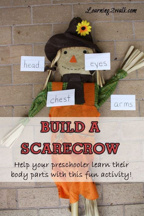 Use this scarecrow preschool theme to identify parts of the body. Scarecrow Preschool, Build A Scarecrow, November Lesson Plans, Autumn Preschool Theme, Fun Activities For Preschoolers, Farm Theme Preschool, Fall Classroom, Fall Preschool Activities, Preschool Lesson Plan