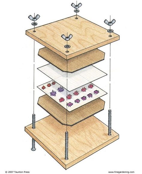 Pressed Flowers Diy, Press Flowers, Pressing Flowers, Diy Flores, Pressed Flower Crafts, Flower Press, Fleurs Diy, Dried And Pressed Flowers, Fine Gardening