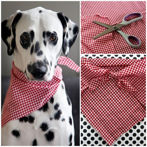 Easy no-sew pet bandana Diy Dog Bandana No Sew, No Sew Dog Bandana, Sew Dog Bandana, Diy Dog Bandana, Dog Bandana Diy, Pet Craft, Bandanas Diy, Dog Bandana Pattern, Dog Template