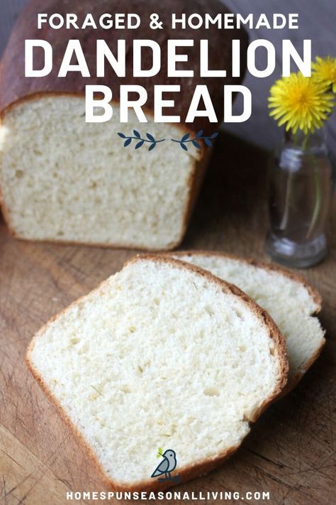 Forage for dandelions and use them in this delicious homemade bread! Dandelions have a slight honey flavor giving this bread an amazing taste. Serve it with eggs for breakfast or even peanut butter and jelly for lunch. You will want to make this simple and tasty bread for your family. Get the recipe today. #recipes #bread #homemade #forage #easyrecipe Dandelion Bread Recipe, Flower Bread, Peanut Butter And Jelly Sandwich, Wild Food Foraging, Jelly Sandwich, Foraging Recipes, Breakfast Eggs, Foraged Food, Peanut Butter And Jelly