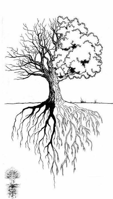 Tree Roots Tattoo, Roots Tattoo, Tree Tattoo Designs, Tree Of Life Art, Tree Of Life Tattoo, Tree Roots, Tree Drawing, Nature Tattoos, Tree Tattoo