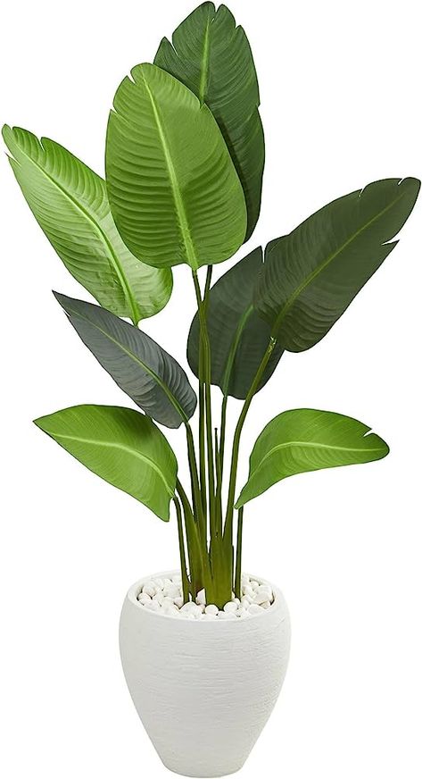 Travellers Palm, Artificial Plants And Trees, Floor Plants, Artificial Flowers And Plants, Bedroom Plants, Plant Decor Indoor, Plant Aesthetic, Monstera Plant, House Plants Decor