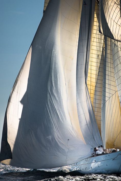 Tumblr Navi A Vela, Yacht Boat, Yacht Design, Tall Ships, Sailing Yacht, In The Ocean, Water Crafts, Sea Life, Sailing Ships