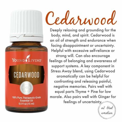 Cedarwood Essential Oil Cedarwood Essential Oil Uses, Young Living Cedarwood, Young Living Panaway, Rc Oil Young Living, Young Living Congestion Diffuse, Clarity Essential Oil Young Living, Helichrysum Essential Oil, Living Oils Recipes, Essential Oils 101