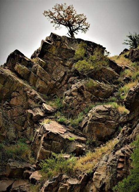 Boulder Rock, Drawing Rocks, Rock Textures, Model Train Scenery, Wargaming Terrain, Model Train Layouts, Landscape Scenery, Environment Design, Environment Concept Art