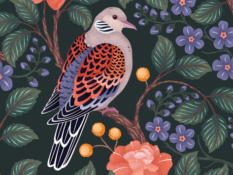 Two Turtle Doves Illustration, Turtle Dove Illustration, Dove Illustrations, Dove Painting, Turtle Doves, Bird Illustrations, Woodcut Art, Turtle Dove, Exotic Birds