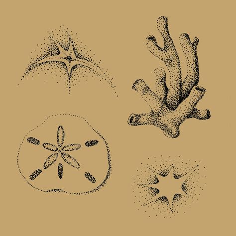 Designs by Moss Wichrowski Octopus Tattoos Fine Line, Ocean Filler Tattoo Ideas, Diatom Tattoo, Coral Tattoos, Sea Slug Tattoo, Coral Tattoo Design, Sea Urchin Tattoo, Sheet Design Ideas, Moss Tattoo