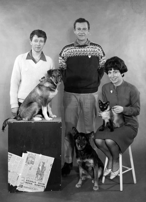 Blue Peter Presenters, Childhood Memories 60's, British Tv Comedies, 70s Tv, Retro Things, 60s Tv, Tv Ideas, 1970s Childhood, Pictures Blue