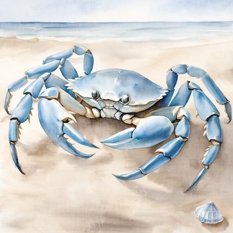 size: 12x12in Art Print: Crab Beach 2 by Kimberly Allen : Crab On Beach, Crab Art, Beach Canvas Wall Art, Blue Crab, Beach Canvas, Wall Art Plaques, Lithograph Print, On Beach, Beach Art