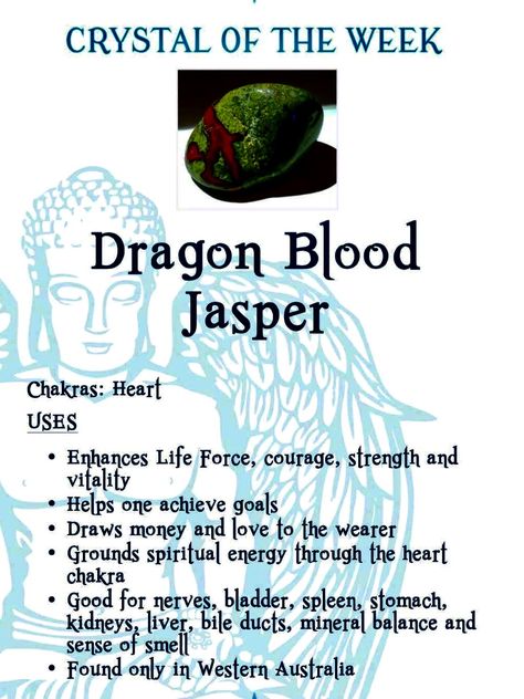 Dragon Stone Meaning, Plant Altar, Dragon Stone Crystal Meaning, Fancy Jasper Crystal Meaning, Infinite Stone, Dragons Blood Crystal Meaning, Jasper Crystal Types, Dragon Bloodstone Meaning, Blood Dragon Crystal Necklace