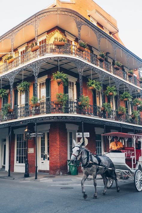 The French Quarter New Orleans, Travel New Orleans, Nola Trip, New Orleans Bourbon Street, Bourbon Street New Orleans, New Orleans Street, New Orleans Architecture, French Quarter New Orleans, New Orleans Vacation