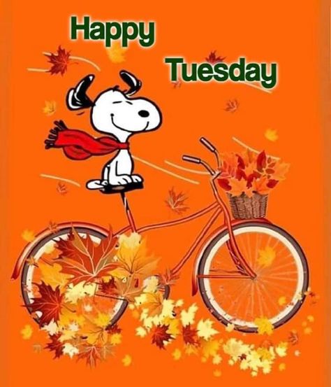 Happy Tuesday (fall) Snoopy Thanksgiving Wallpaper, Snoopy Merchandise, Snoopy Fall, Thanksgiving Snoopy, Peanuts Wallpaper, Good Morning Snoopy, Snoopy Funny, Snoopy Halloween, Snoopy Images