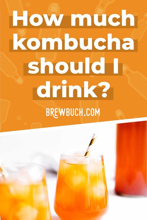 So you've fallen in love with kombucha and now you're wondering, how much kombucha should I drink per day? How much is too much? #kombucha #fermentation #health #drink #beverage Health Aid Kombucha, What Is Kombucha, Kombucha Benefits For Women, Kombucha Flavors Recipes, Kombucha Mother, Kombucha Health Benefits, Jun Kombucha, Kombucha Recipes, Best Kombucha