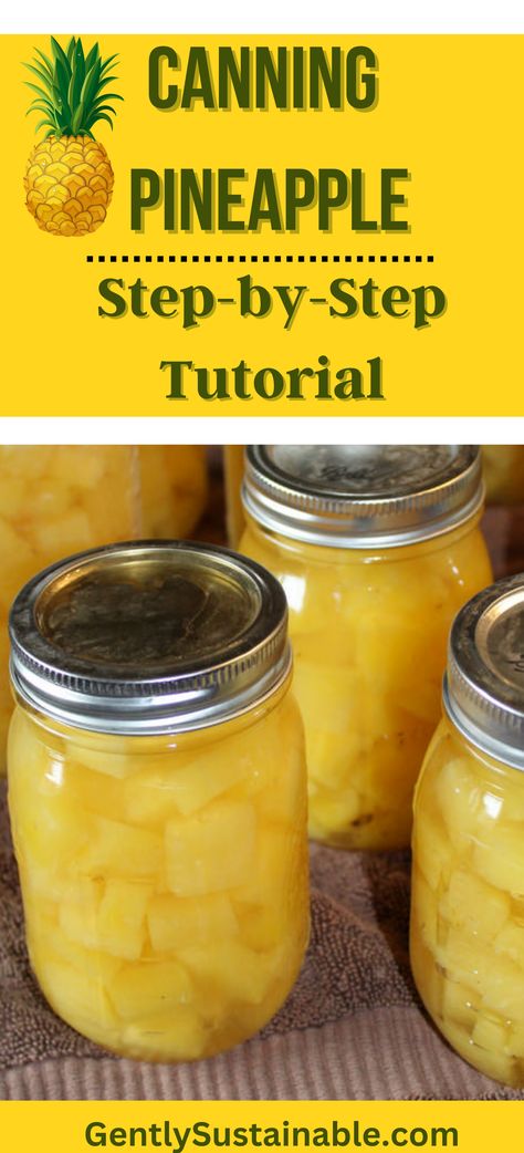 Canning Pineapple, Homesteading Inspiration, Pineapple Salsa Recipe, Canning Fruit, Canning Vegetables, Canning Food, Modern Homesteading, Water Bath Canning, Pineapple Recipes