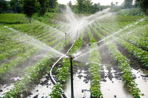 Choosing an irrigation method or system can be challenging before deciding on an irrigation system; this blog by omgreenoman will help you understand the factors to Consider in Selecting a Farm Irrigation System. to know more visit the omgreenoman website today. Farm making & maintenance Irrigation Methods, Irrigation Pumps, Soil Conservation, Crop Insurance, Rural Development, About India, Sprinkler Irrigation, Plant Nutrients, Sustainable Agriculture