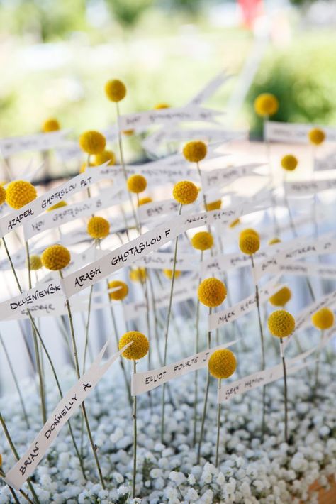 A DIY Farm Wedding at Heritage Prairie Farm in Elburn, Illinois Diy Farm Wedding, Diy Wedding Inspiration, Wedding Theme Inspiration, Garden Theme Wedding, Flower Installation, Eco Friendly Wedding, Wedding News, Wedding Mood Board, Wedding Signage