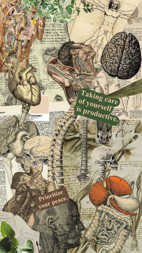 #collage #aesthetic #beige #offwhite #wallpaper #anatomy Anatomy Design Graphic, Nervous System Wallpaper Aesthetic, Anthropology Aesthetic Wallpaper, Anatomy Mind Map, Physiology Aesthetic Wallpaper, Biology Stickers Aesthetic, Anatomy Wallpaper Desktop, Medtech Wallpapers, Anatomy Wallpaper Iphone