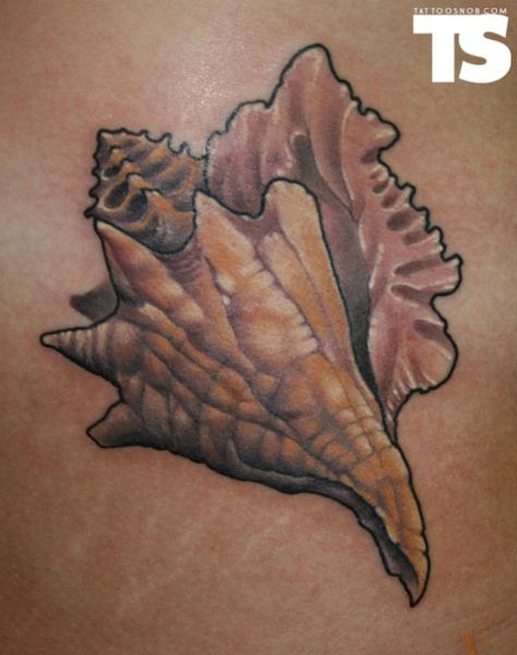 Del's Shells: Seashell Saturday Conch Shell Tattoo, Shell Tattoo, Starfish Tattoo, Scene Tattoo, Seashell Tattoos, Shell Tattoos, Worlds Best Tattoos, Sea Tattoo, Arte Van Gogh