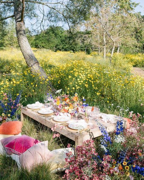 Ｂｅｉｊｏｓ on Instagram: “It’s a super bloom!!! Spring is here and we are celebrating with our friends at @surlatable and their gorgeous new Wildflower Collection!…” Rose Picnic, Picnic Photoshoot, Frozen Summer, Super Bloom, A Year In Review, Picnic Aesthetic, Tropical Bridal Showers, Garden Picnic, 28th Birthday