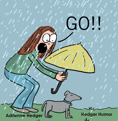 My dog in the rain | Hedger Humor Rain Humor, Rain Cartoon, Hair Quotes Funny, Rainy Day Quotes, Laughing Funny, Rain Quotes, Funny Animals With Captions, Walking In The Rain, Funny Illustration