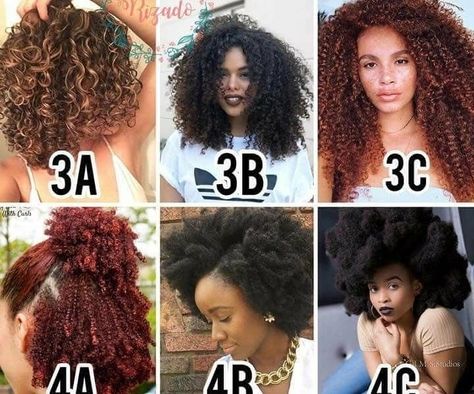 Image may contain: 4 people, text Curl Pattern Chart, Hair Texture Chart, 3c Curly Hairstyles, Hair Type Chart, Hair Chart, Crochet Box Braids, Hair Cuffs, Growth Hair, Curly Hair Types