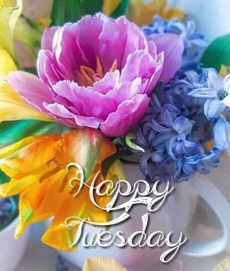 Happy Tuesday Flowers, Tuesday Quotes Good Morning, Tuesday Greetings, Morning Tuesday, Hello Tuesday, Good Morning Tuesday, Daily Greetings, Good Morning Happy Sunday, Tuesday Quotes