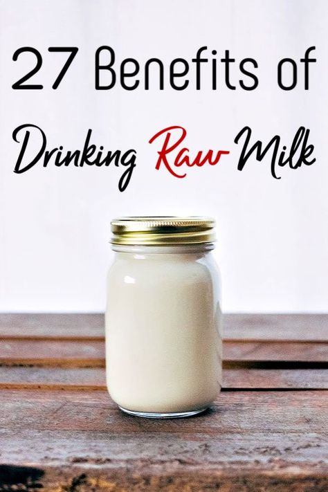 Considering switching to raw milk? These 27 benefits of raw milk may just convince you! Taste aside, you may just be surprised! #rawmilk #health #milk #raw #rawfood #realfood #healthy #fitness Milk Benefits, Nourishing Traditions, Saving Money Tips, Pin Ideas, Pay Off Debt, Dairy Cows, Fresh Milk, Milk Cow, Milk Recipes